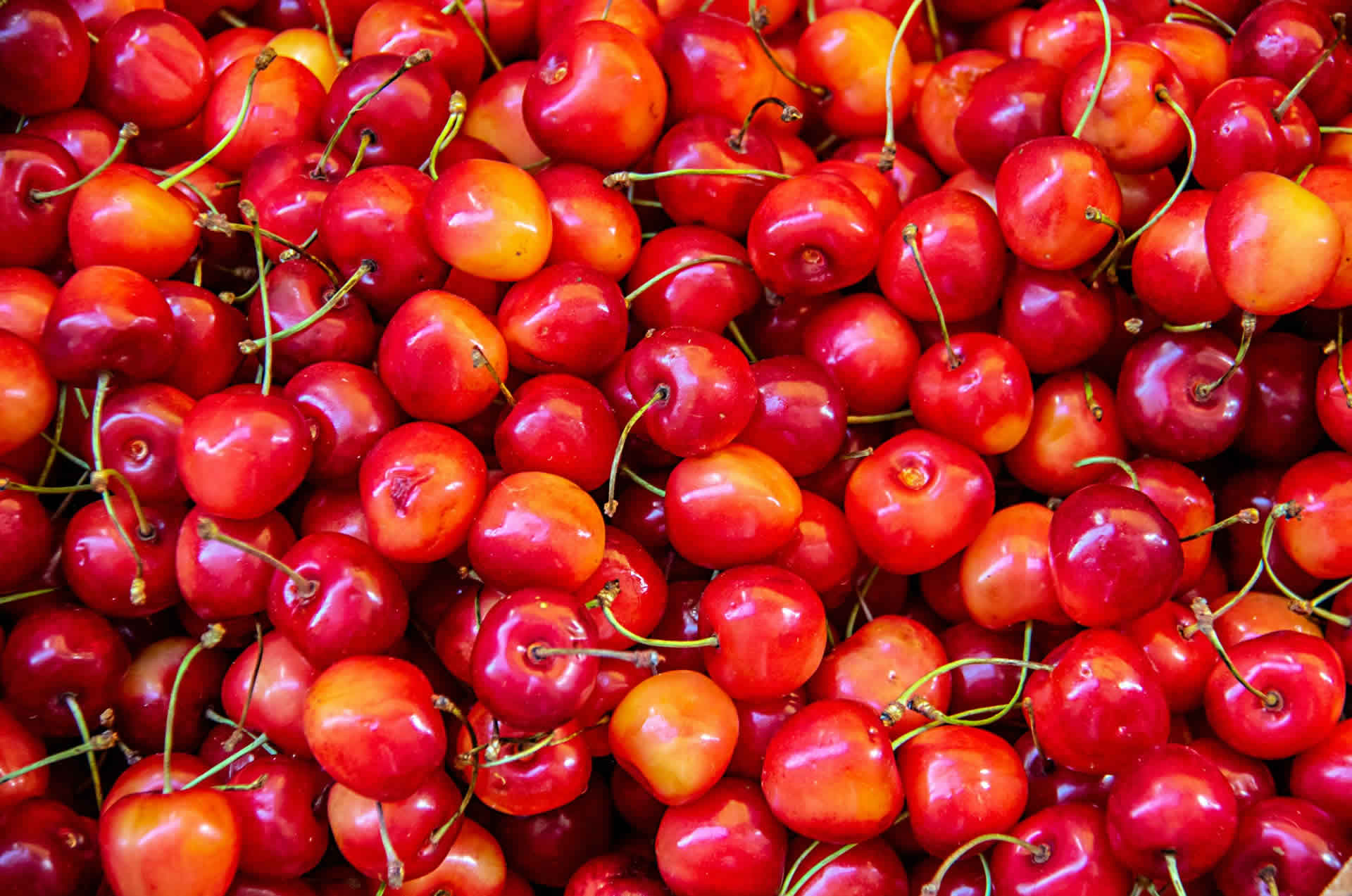 concentrado cereza | ActivePro | Starsaludable